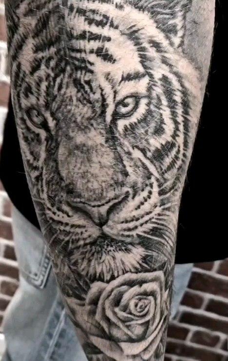 Tatouage tigre et rose réaliste black & grey — seb_barbu