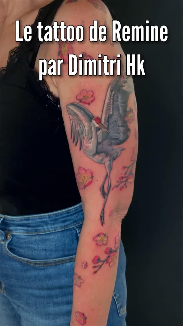 Travail de Dimitri HK