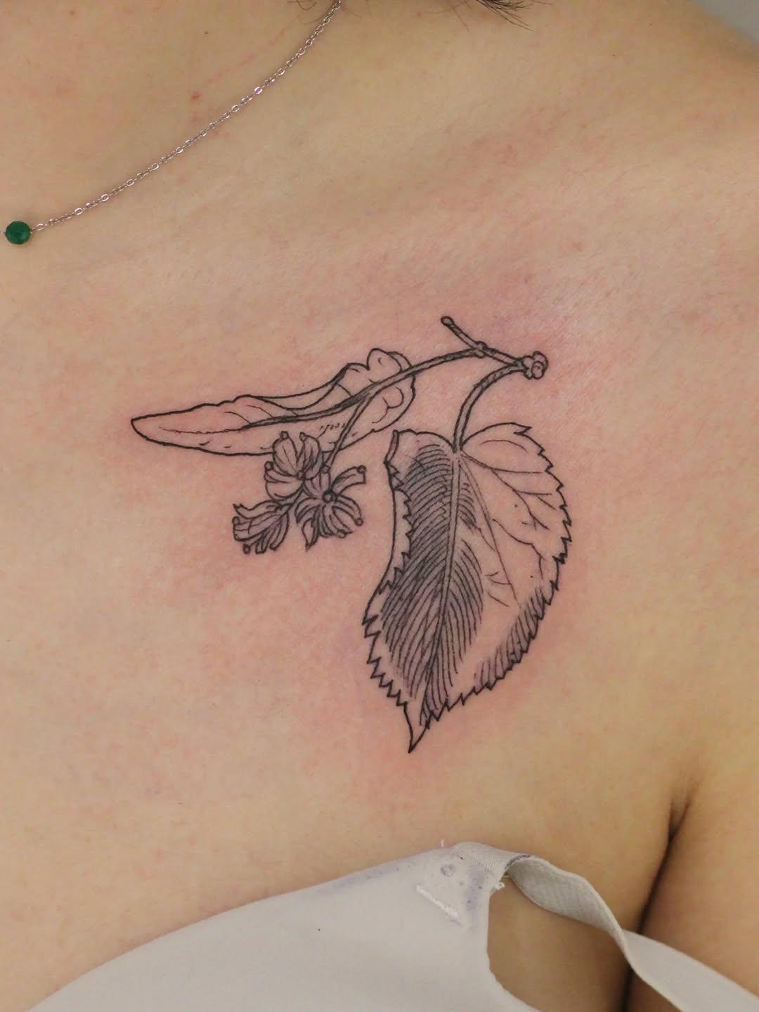 Tatouage branche de tilleul gravure botanique — guillaume.ltf