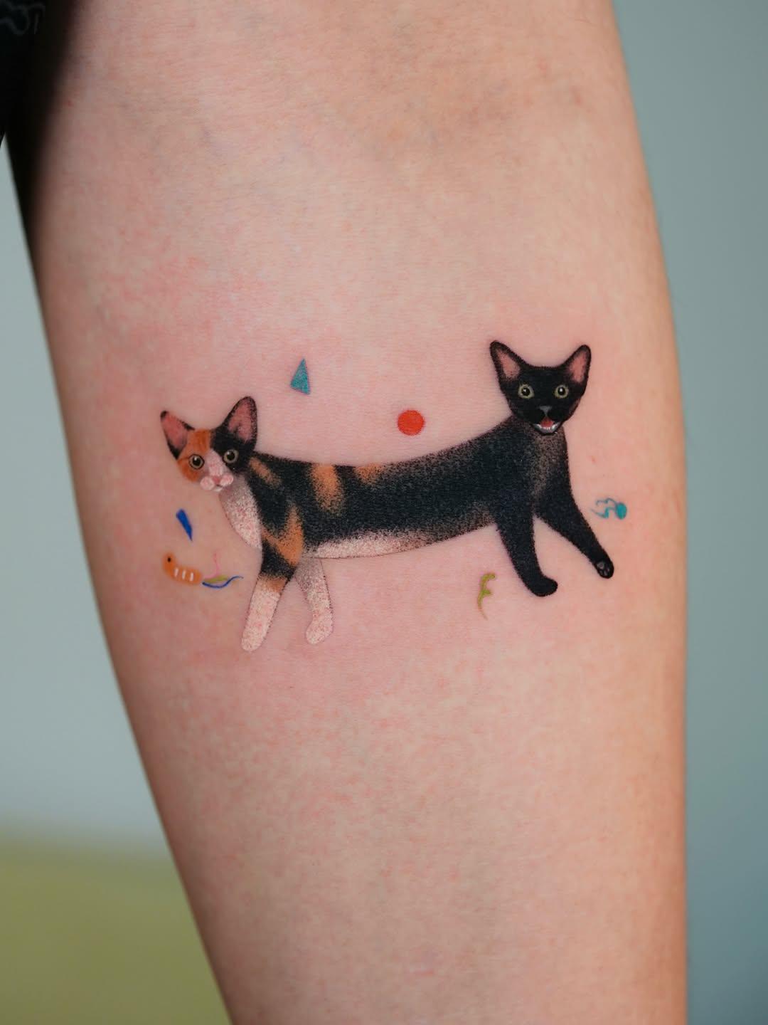 Travail de S A L T