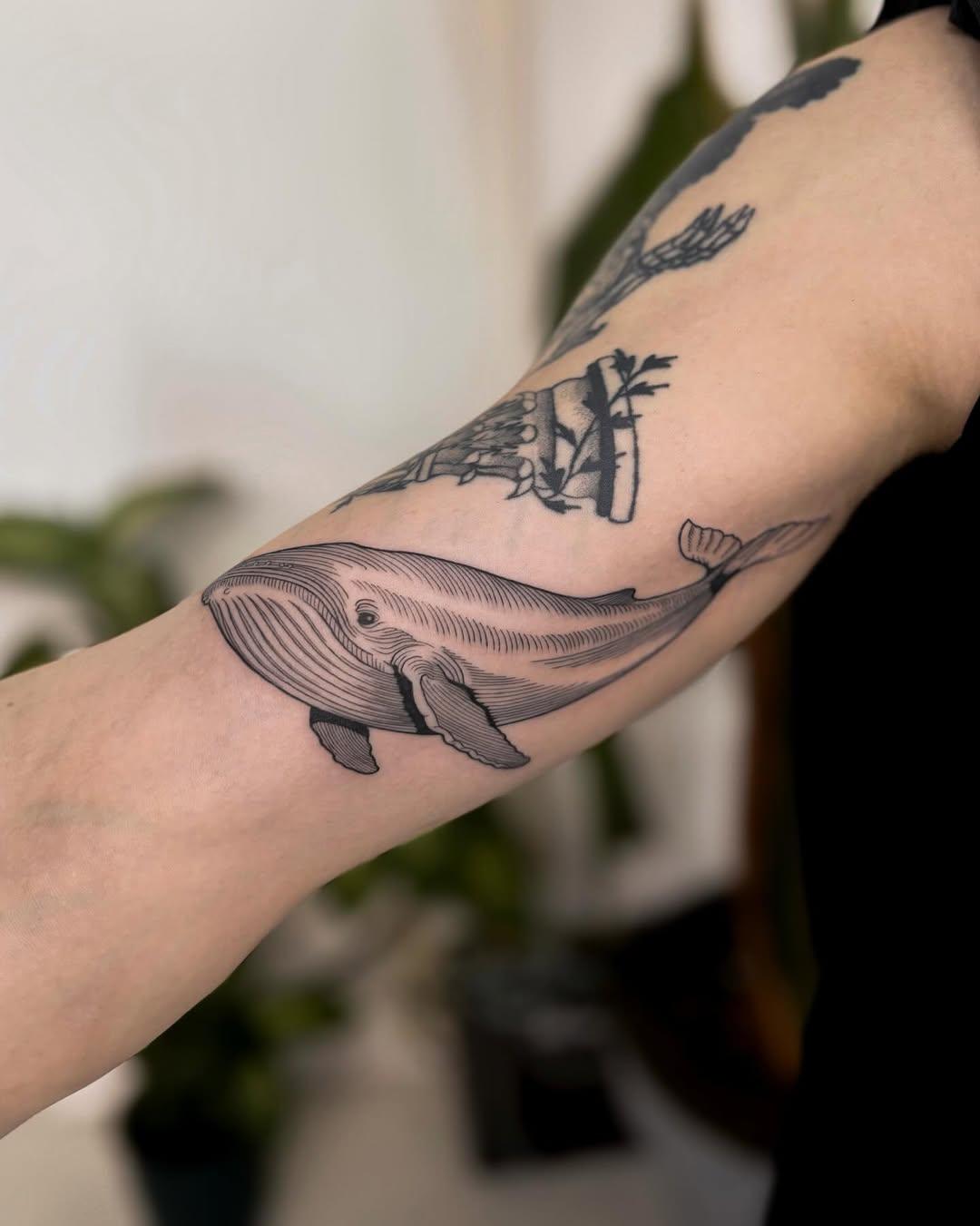 Tatouage baleine fine line — donatelau