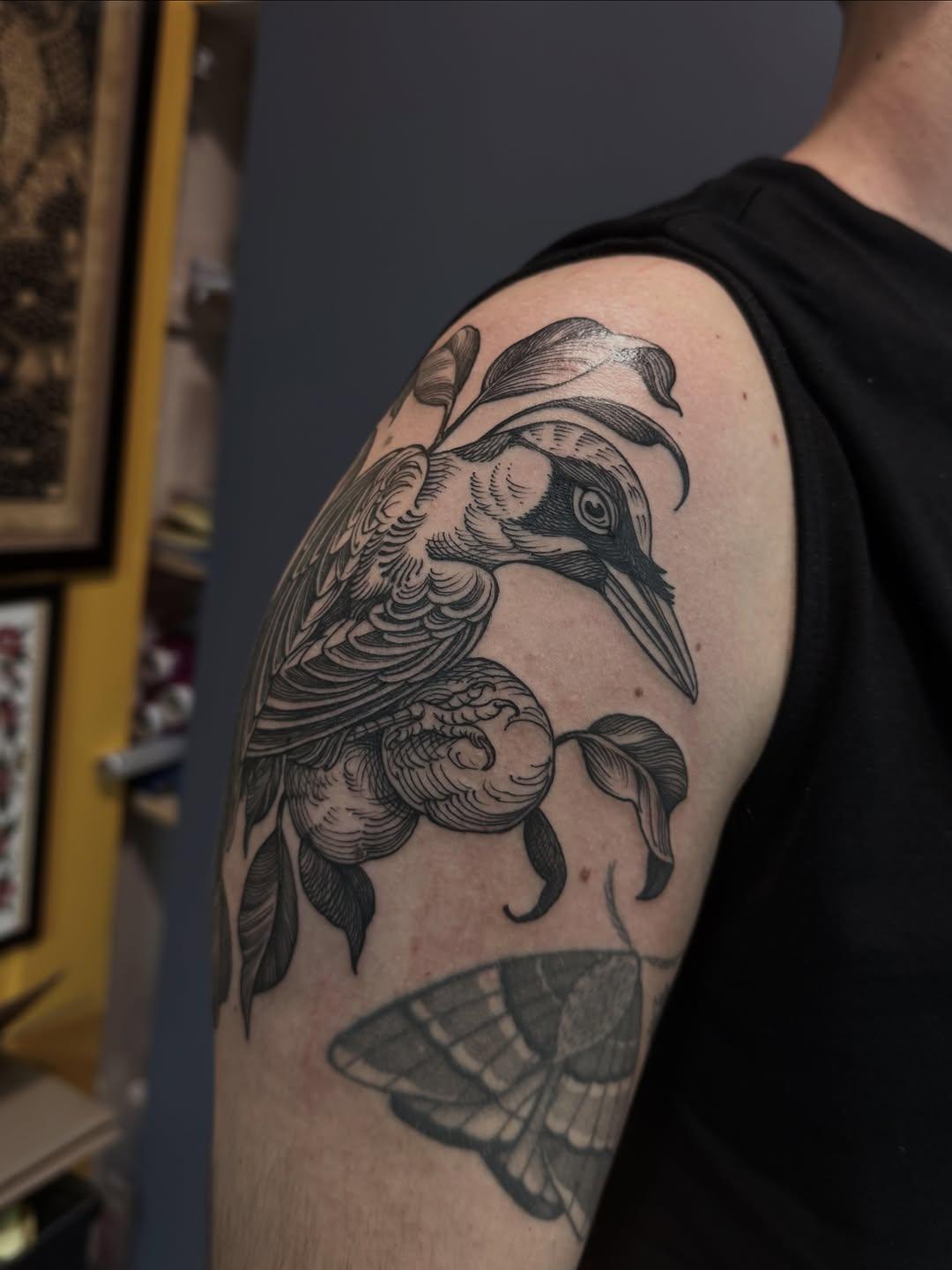 Tatouage pivert couleur — dumano.tattoo
