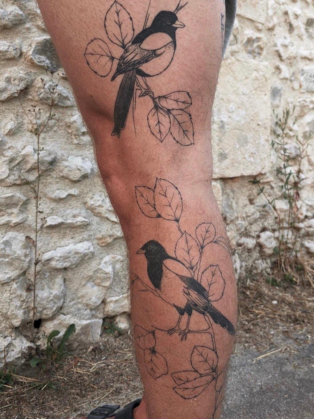 Tatouage jambe fine line cicatrisé — noiredeligne