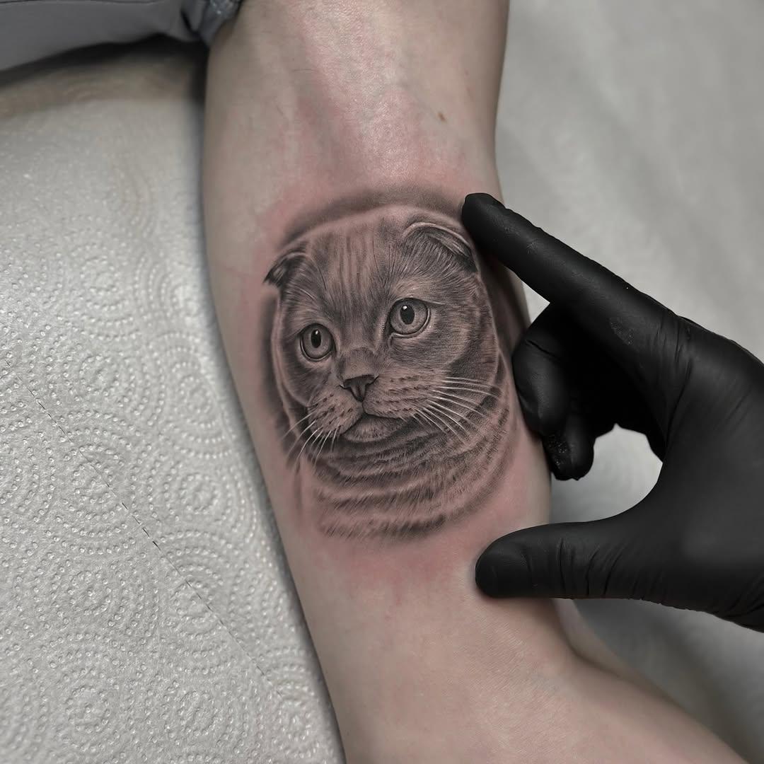 Tatouage portrait chat Molly — ilyasargin
