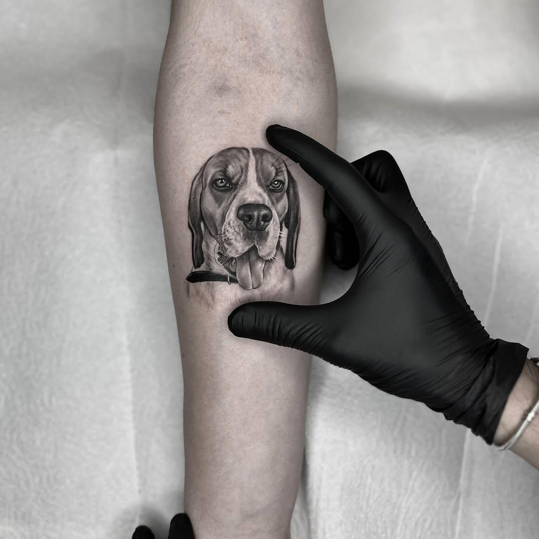 Tatouage portrait chien Beagle — ilyasargin