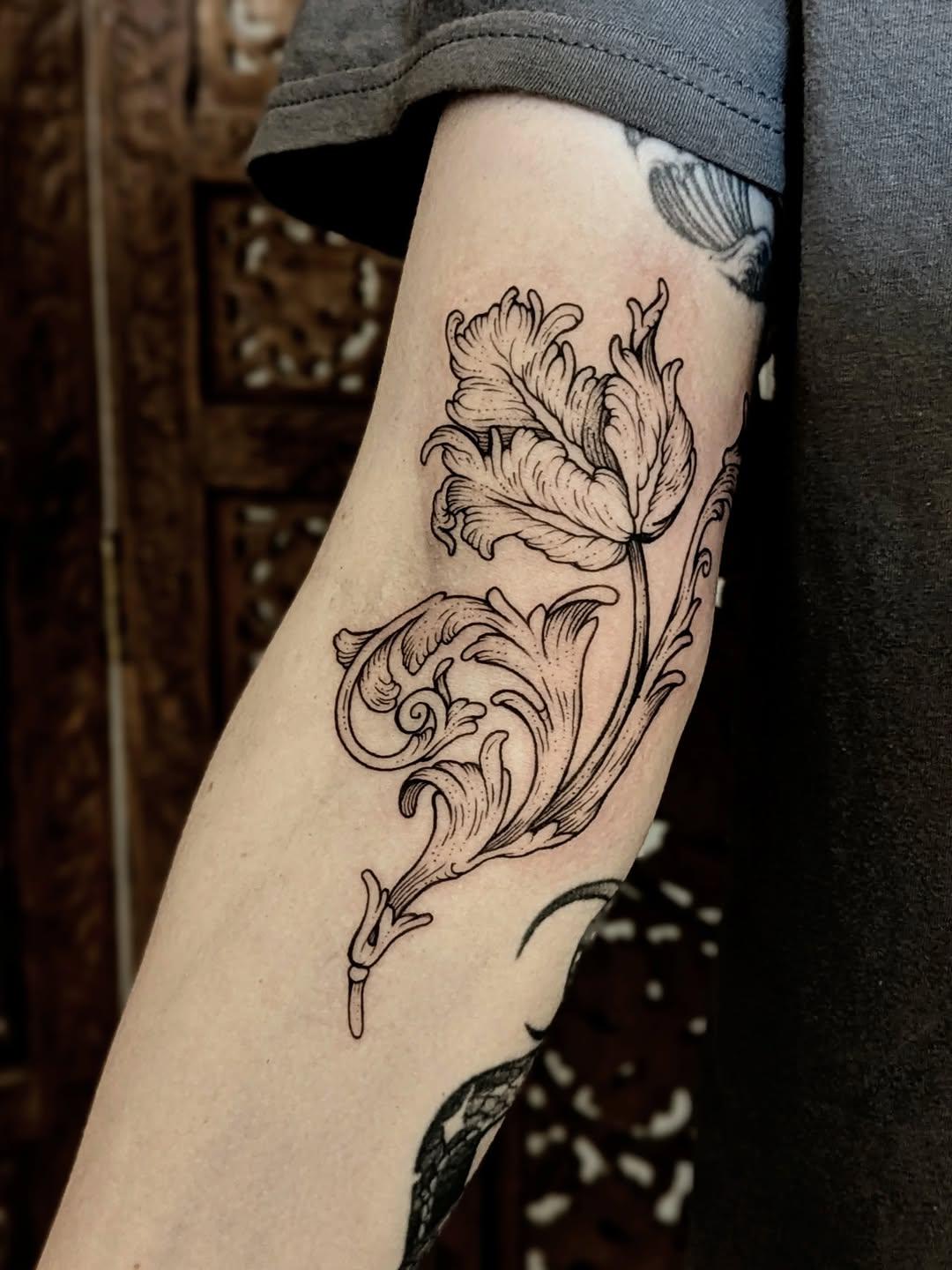 Acanthe & tulipe, gravure botanique — jehanne.eller