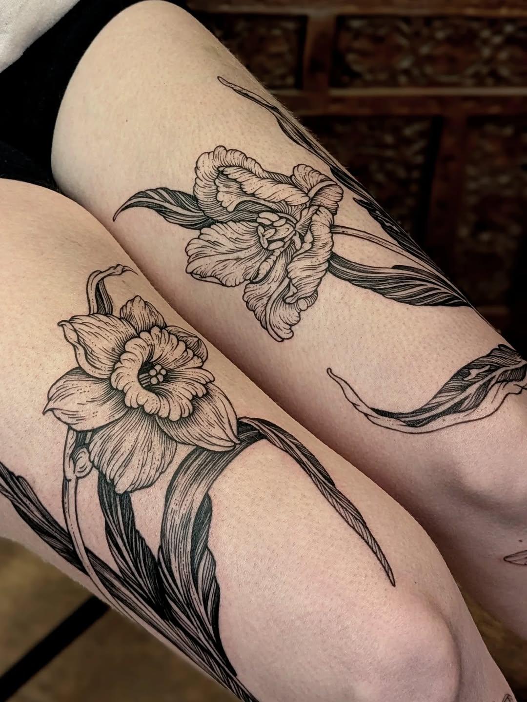 Narcisse & tulipe, gravure botanique — jehanne.eller