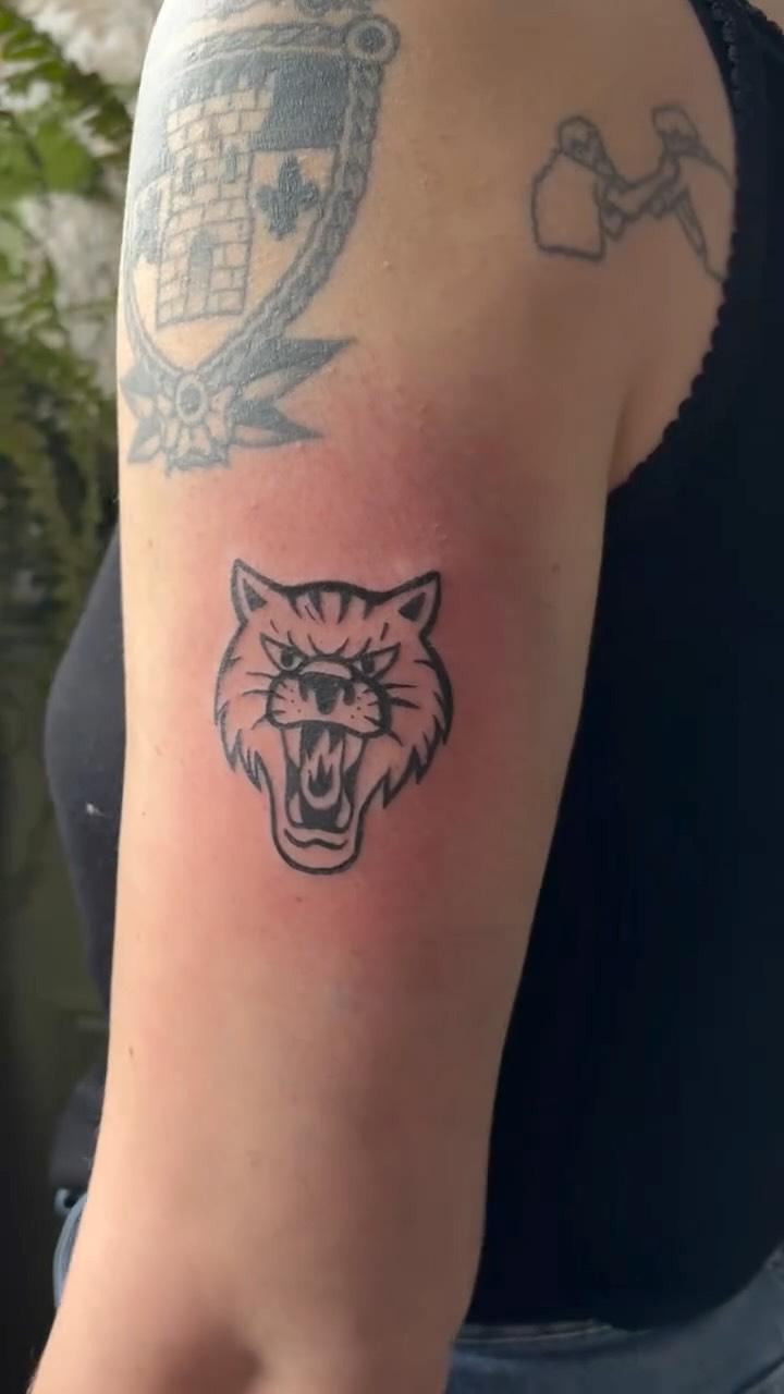 Tête de tigre bold line sur le bras — camila.tatua