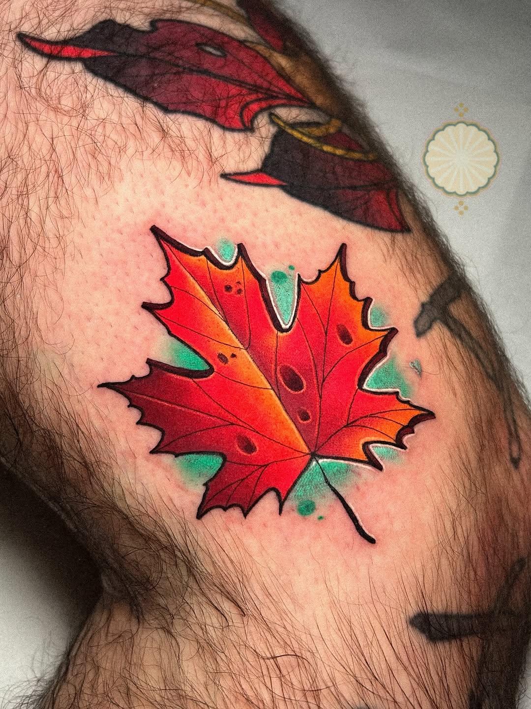 Feuille d'érable couleur — gatouguillemard