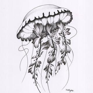 Naeryma