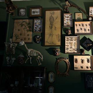 Pavillon Noir - Atelier De Tatouage À Tournai