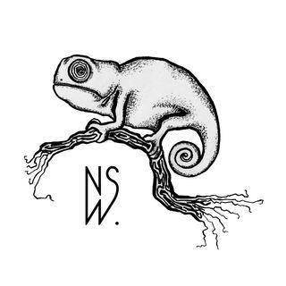 Nico Wartoon